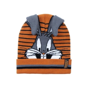 Gorro Punto Jacquard Warner Looney Tunes Bugs Bunny