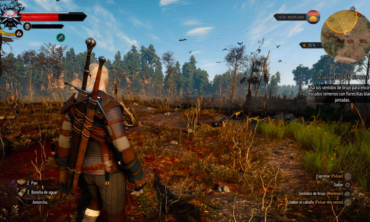 The Witcher 3 Wild Hunt